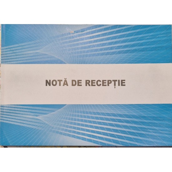 Nota de intrare-receptie A4, 100 file