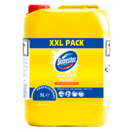 Dezinfectant Domestos Professional Citru, 5l