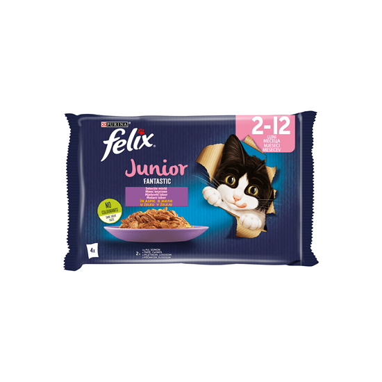 felix FANTASTIC Junior Hrana pentru Pisici cu Pui 4X85 g