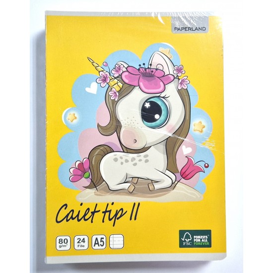 Caiet A5, 24file, Tip II, Paperland 80g/mp,10buc/set