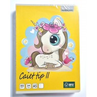 Caiet A5, 24file, Tip II, Paperland 80g/mp,10buc/set