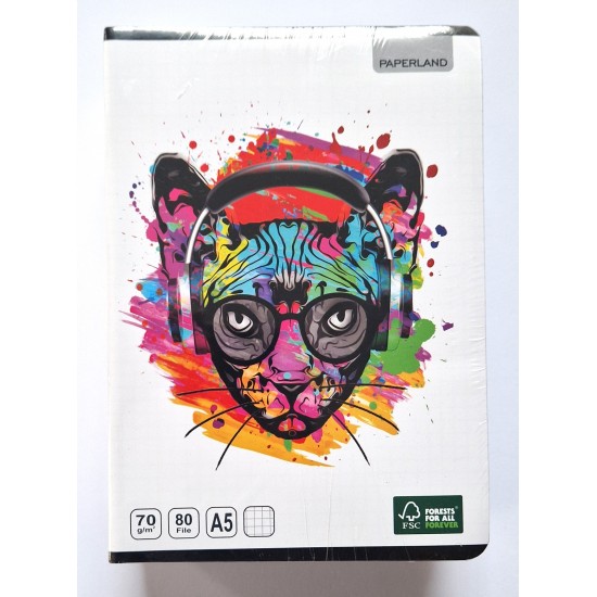 Caiet A5 48 file matematica Paperland, 70g/mp 10buc/set