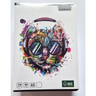 Caiet A5 48 file dictando Paperland, 70g/mp 10 buc/set