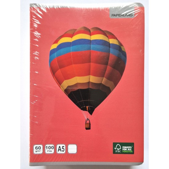 Caiet A5, 100 file Paperland, 60g/mp 5 buc/set dictando