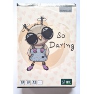 Caiet A5 48 file dictando Paperland, 70g/mp 10 buc/set