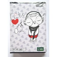 Caiet A5 48 file dictando Paperland, 70g/mp 10 buc/set