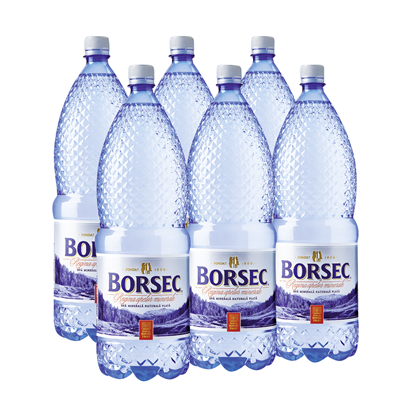Apa Minerala Plata BORSEC 6...