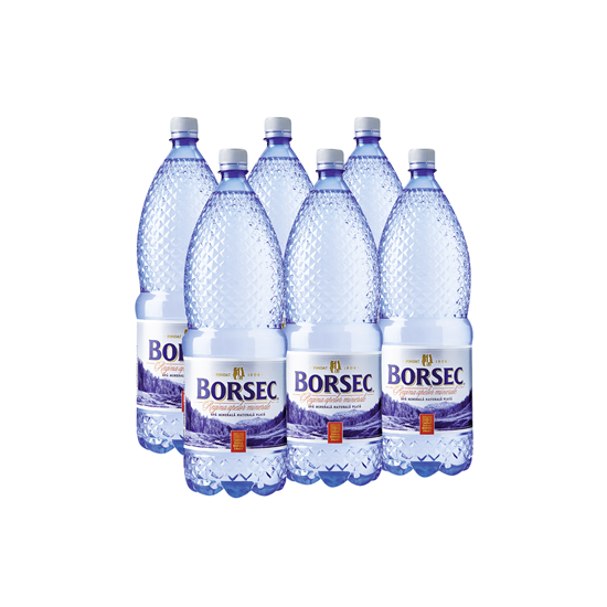 Apa Minerala Plata BORSEC 6 x 2 L