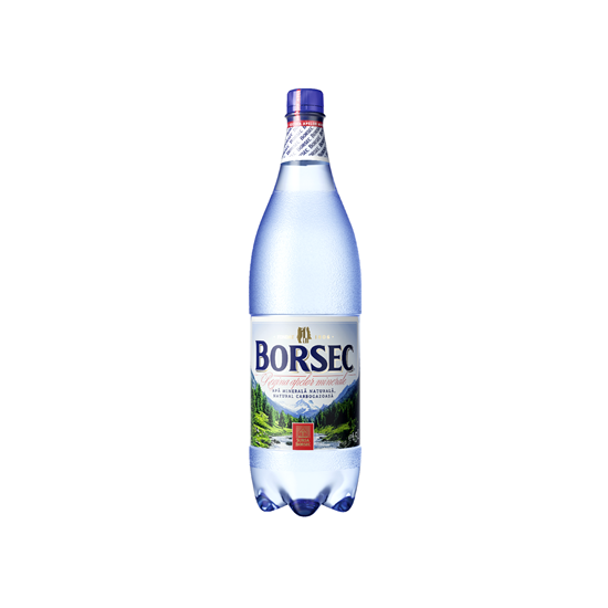 Apa Minerala Carbogazoasa BORSEC 6 x 1,5 L