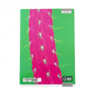 Caiet A4 80 file dictando Paperland, 70g/mp