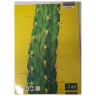 Caiet A4 80 file matematica Paperland, 70g/mp