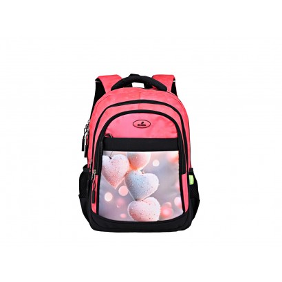 Ghiozdan 41 cm clasele I-IV...