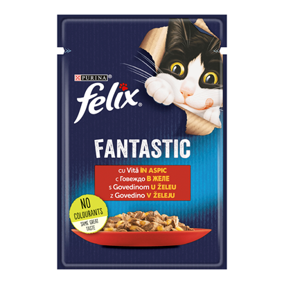 felix FANTASTIC Hrana...